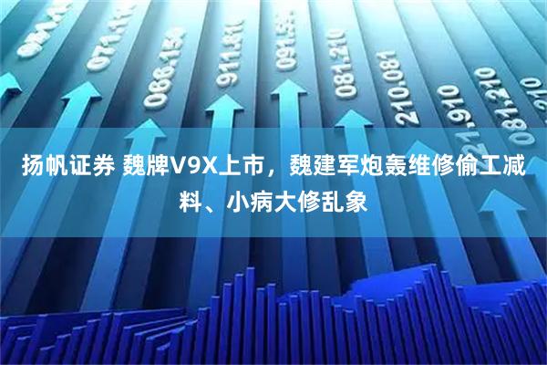 扬帆证券 魏牌V9X上市，魏建军炮轰维修偷工减料、小病大修乱象