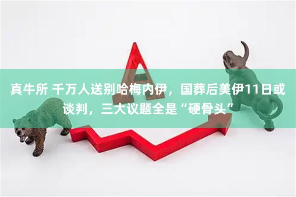 真牛所 千万人送别哈梅内伊,国葬后美伊11日或谈判,三大议题全是“硬骨头”