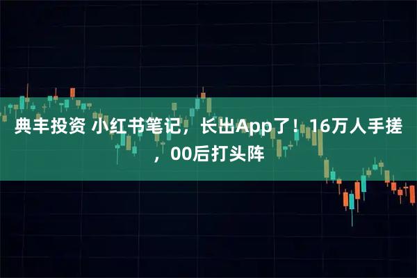 典丰投资 小红书笔记，长出App了！16万人手搓，00后打头阵